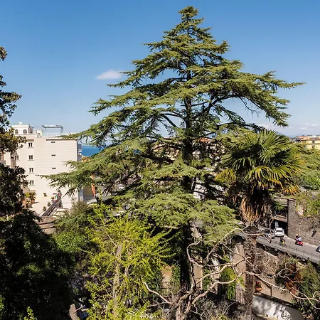 Casa Enzina Guest house Sorrento